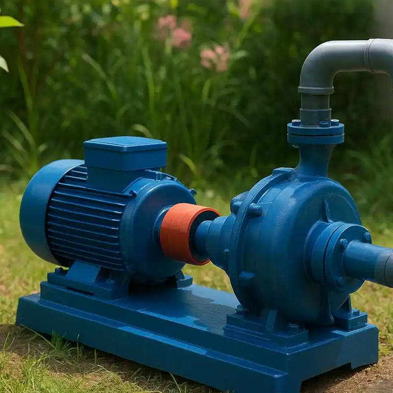 场景展示